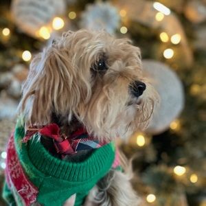 Meet your Posher, Anh